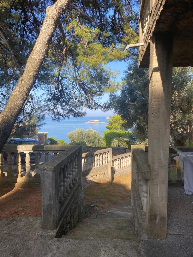 Apartman Novica Herceg Novi Exteriér fotografie