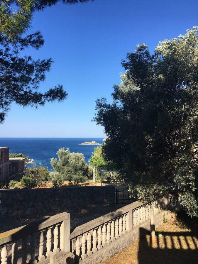 Apartman Novica Herceg Novi Exteriér fotografie